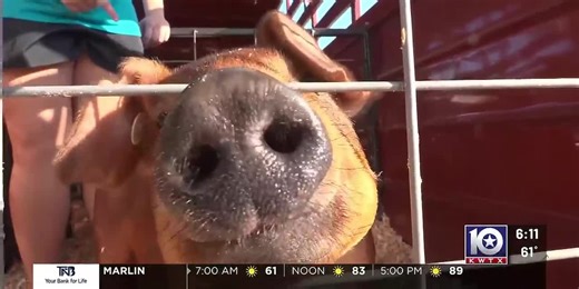 China Spring junior takes her talents to the state and local level