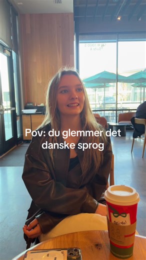 Understanding the Exchange Student Experience