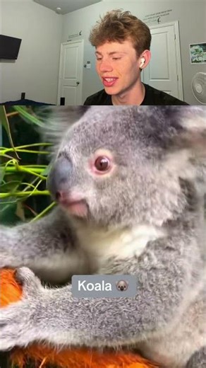 Animals your kids won’t believe once existed 😱