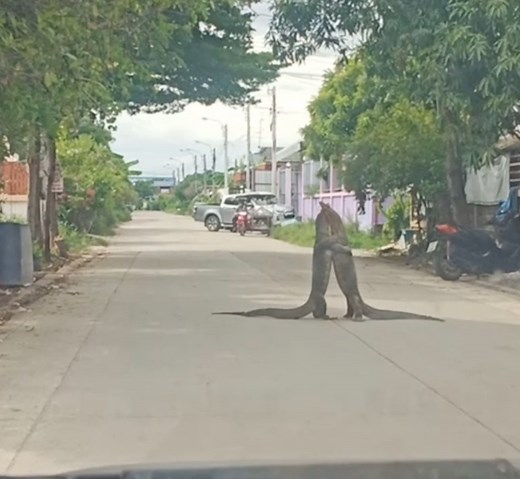 Are they hugging… or are they fighting? Check out more trending stories on ITK: https://bit.ly/39pSMAR | In The Know