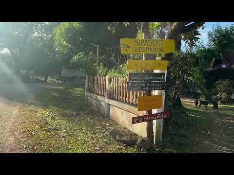 Walking Village Life in Tad Lo 🇱🇦 | Hidden Rural Laos 4K