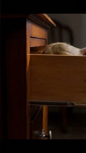 Insane Mouse squeezes in will it c lose