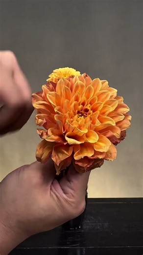 A Chinese flower arrangement tutorial with five dahlias#The expedition taught flower