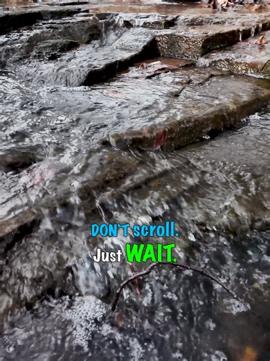 Calming Forest Stream for Stress Relief