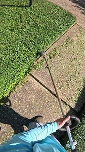 281 reactions · 6 comments | Nice clean edge up for the ground cover 奈 #connerlawnandmaintenance #lawncare #satisfying #lawnedging #lawnmaintenance #echousa #gopro | Lawn Care Pro | Facebook