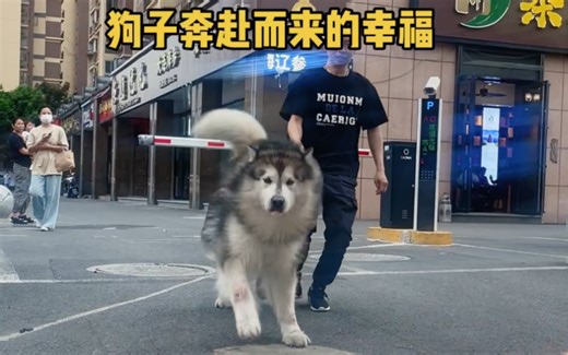扑面而来的幸福