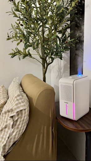 21K views · 136 reactions | This Bomidi 3in1 is a MUST dahil may Air Purifier, Humidifier at Dehumidifier function na ito#bomidi #BOMIDIphilippines #humidifier #airpurifier #dehumidifier Bomidi Philippines | Ice Detoizkie | Facebook