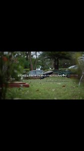 2.4K views · 20 reactions | Dr. Santhini & Dr. Subramanian ✨❤️ This...