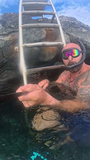 Dive Into the Stunning Underwater World