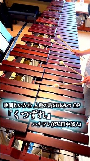 『映画ちいかわ 人魚の島のひみつ』OPをマリンバ1台で1人再現『くつずれ』