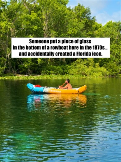 One of America’s largest springs! . Florida’s oldest commercial tourist attraction, Silver Springs, has been around for nearly 150 years. The glass bottom boat tours take you up and down the Silver River where you can see wildlife, vegetation and historical and cultural artifacts (Hollywood movie props) below the surface of the water. . In the 1930s, Hollywood discovered Silver Springs and over the years, scenes from at least 20 movies and countless episodes of tv show were filmed here. . They a