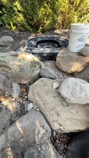 How to Disguise Your BioFalls Biological Filter Using Foam and Rock Work | Ed The Pond Professor