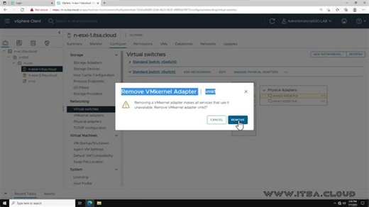 Removing a VMkernel (vmk) adapter from a VMware vSphere Standard Switch (vSS). | ITSystemsAdmin