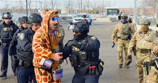 Anti-ICE protester dressed in giraffe costume is released from custody