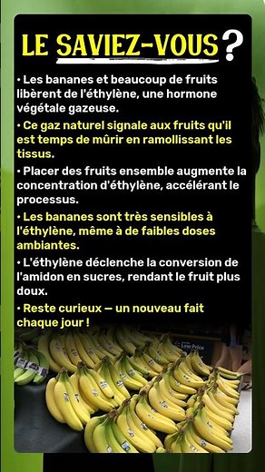 Pourquoi vos bananes mûrissent vite près d'autres fruits ?