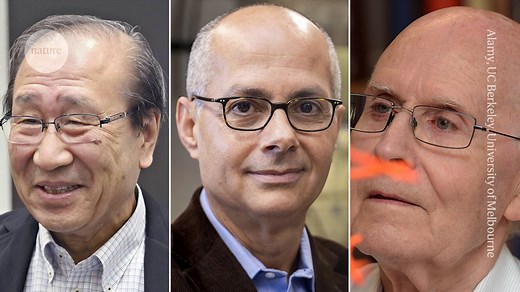 Chemistry Nobel for scientists who developed massively porous ‘super sponge’ materials