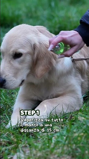 Come usare lo Spray al Tea Tree Oil e Olio di Neem Yuup!? 💚🐾