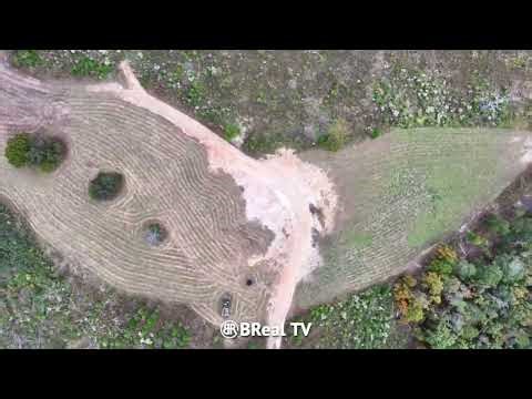 Secluded 100-Acre Waterfront Retreat Lake Eufaula South Georgia Land for Sale