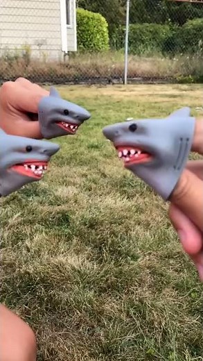 SHARK PUPPET SCREAM SO HARD.