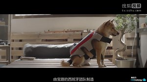 【触动力】让狗狗自己发微博的智能外套，宝路Posting Tail