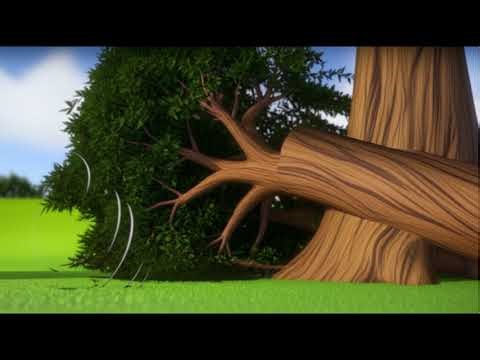Willow the Willow Tree Learns Flexibility | Read Aloud Stories for Kids