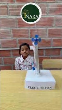 Electric Fan Model | STEM Science Project