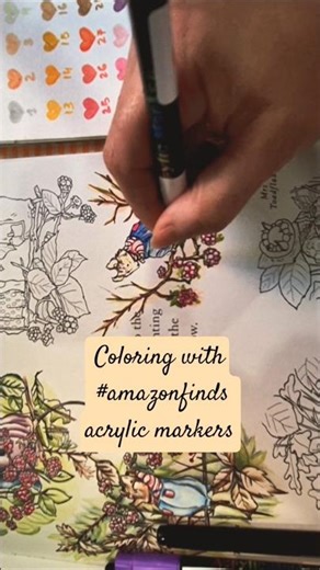 Acrylic markers ‪@AmazonInOfficial‬ #amazonfinds #acrylicmarker #adultcolorbook #acrylicart