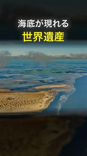 1日に2度 海底が現れる世界遺産 ワッデン海