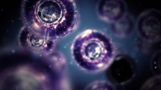 Did life actually come from space? | Ancient Aliens: Out of This World Moments