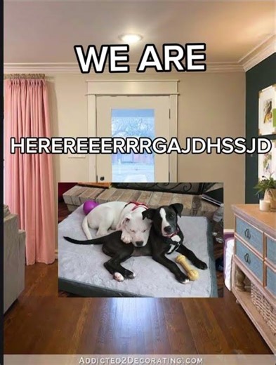 Muskrats EPISODE1 season 1