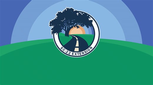 Preliminary Alternatives Pre-recorded Presentation