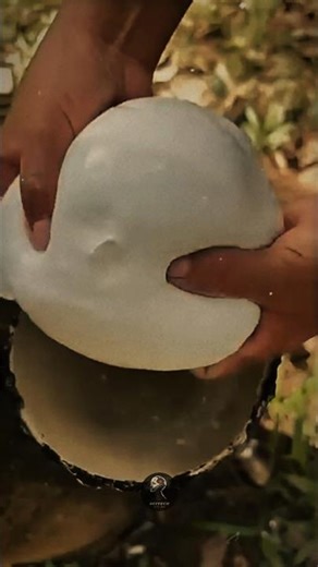 "How Does Natural Rubber Made" 😱