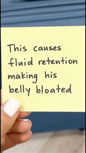 I didn’t expect to shrink my beer belly in just 3 weeks… but here we are. I wasn’t even planning on trying. Honestly, I just saw this guy at the gym — mid-50s, lean, flat stomach, sharp chest — mixing these drops into his shaker bottle. I asked what it was, and he said: Lymphatic Support Drops. Turns out it’s a science-backed formula created by a Nutritional Scientist… That’s been helping thousands of men drain stubborn beer belly bloat fast by flushing excess fluid, fixing sluggish digestion, a