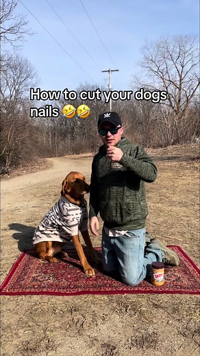 Guide to Cutting Your Dog's Nails Safely