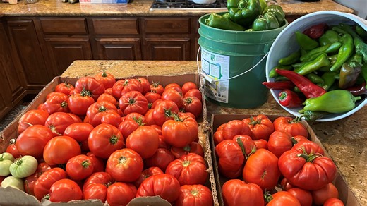 Should Colorado vegetable gardeners risk planting early this spring?