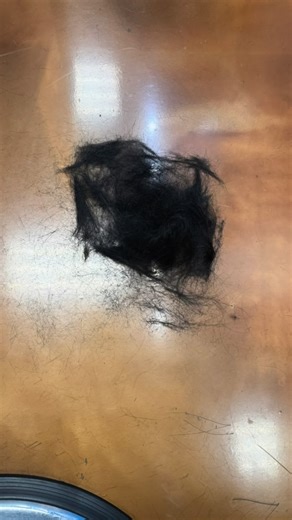 Michelle Anderson on Instagram: "Auntie era #40 💇🏾‍♀️ @ascheley_does_hair 💪🏾🏋️‍♀️ @zee_shpree"