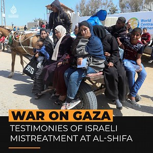 20K views · 639 reactions | Palestinians who fled the ongoing Israeli siege of Gaza’s al-Shifa Hospital have given first-hand accounts of execution-style killings and other alleged abuses by Israeli forces ⤵️ | Al Jazeera English | Facebook
