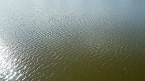 5.9K views · 277 reactions | Welcome back students! Here's to the new decade -- Happy 2020! | University of Regina | Facebook