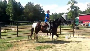 Western Riding lessons with Lady | Pasture Pals Equine Rescue
