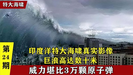 2004年印度洋海啸真实影像，夺走27万条生命，致数百万人无家可归