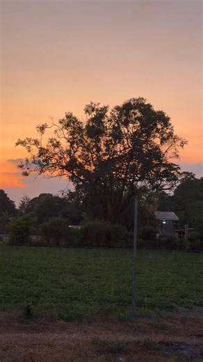 Gloria Palaganas Jones on Reels