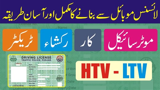 1.2K views · 18 reactions | Driving License - Step By Step Guide - Dlims App - How to Apply Online Learners Driving License #drivinglicence #stepbystepguide #dlims #worldsayonline #learnerslicense | Say Job City | Facebook