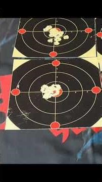BSA Lightning CLX in 177 Gamo Pro Hunter vs H+N Field Target Trophy Pellet Test #2026 #pelletrifle