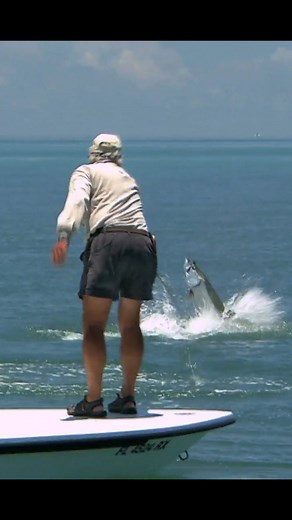 Fishing TV on Instagram: "How to land giant Tarpon on the fly - ‘Chasing Silver’ on FishingTV Copy the link to watch now! https://www.fishingtv.com/series/hoss-off-the-grid-series-1/ Tarpon, the world’s greatest game fish are the subject of this series of films brought to us from director, Jamie Howard. We follow 5-time Gold Cup champions Andy Mill and guide Tim Hoover as they explore various inshore fisheries to find these incredible fish. Andy, an ex-Olympic skier is considered amongst the bes