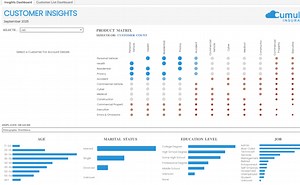 Insurance - Customer Insights