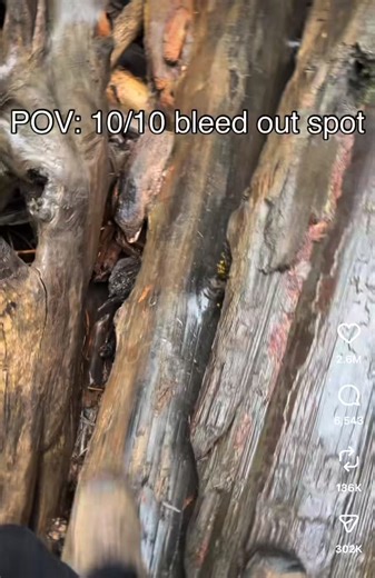 Definitely a 10/10 bleed out spot.