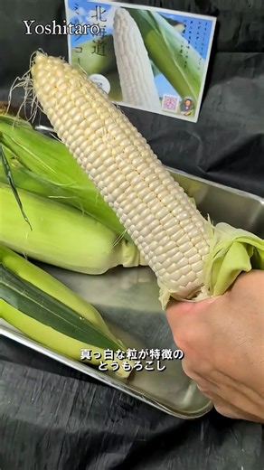 Blonde Milk Corn