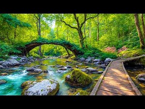Beautiful Relaxing Music - Stop Overthinking, Stress Relief Music, Sleep Music, Calming Music #838