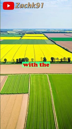 Droogmakerij de Beemster: Holland’s Ingenious Polder 🌾🇳🇱 Pt. 2