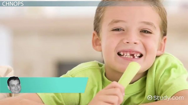 Six Elements of Life | CHNOPS Definition & Roles